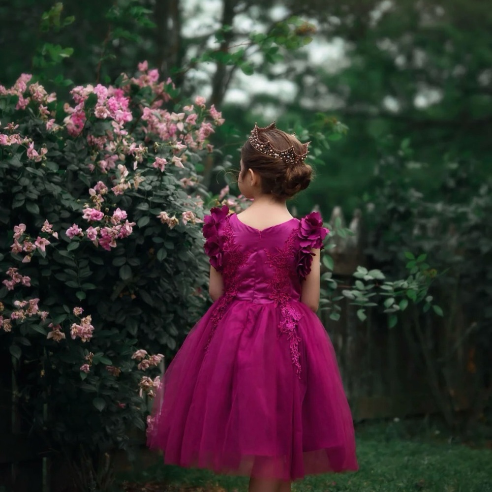 Trish Scully Bianca Dress. Size 5 - Picture 2 of 6